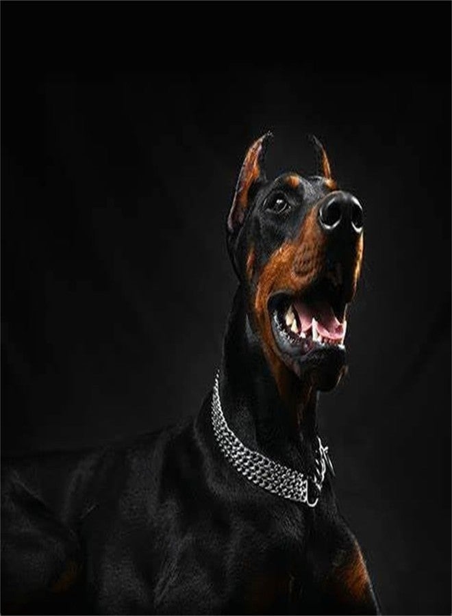 RoverPets Rover Pets Silver Dog Chain Collar,3 Rows Stainless Steel Chew Proof Cuban Link Dog Collar Metal Martingale Collar Heavy Duty Training Boy Girl Puppy Collar for Small Medium Large Big Breed - Image 2